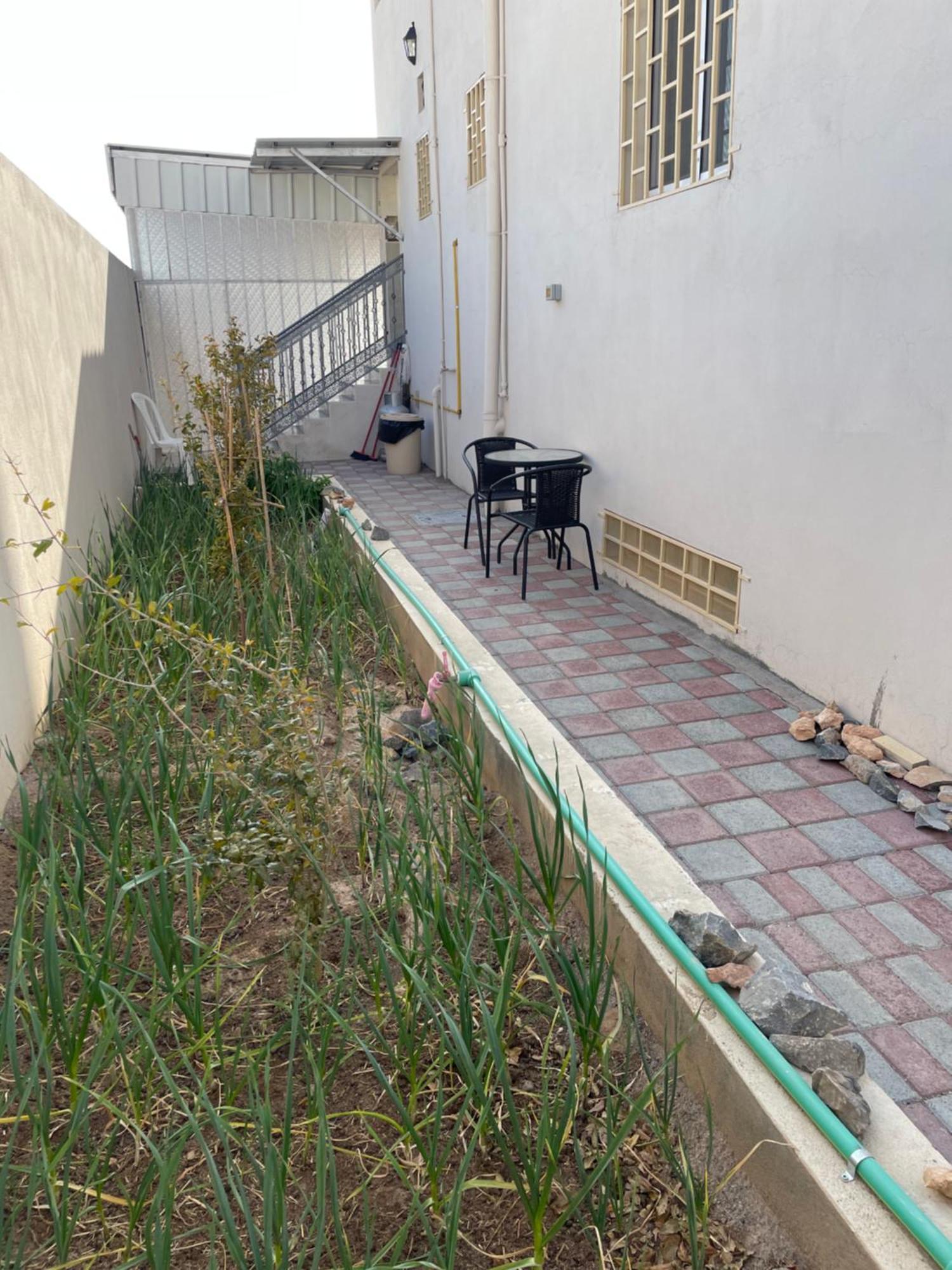 Apartment In Bayt Al Jabal شقة في بيت الجبل Sayq Esterno foto